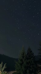 Fototapeta premium A serene night sky filled with stars over silhouetted trees, creating a peaceful and tranquil atmosphere.