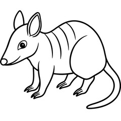 illustration of a bandicoot 