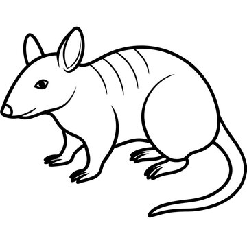 recommend clip art: illustration of a squirrel