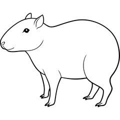 illustration of a capybara
