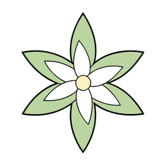 abstract flower logo