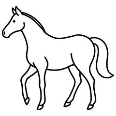 Obraz premium horse illustration