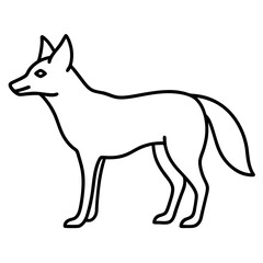 illustration of a jackal