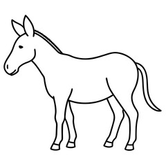 Obraz premium donkey isolated on white background
