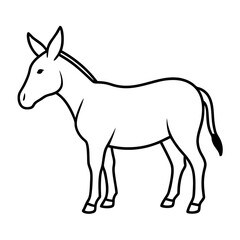 Obraz premium donkey isolated on white background