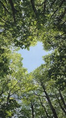 A heart-shaped clearing in a dense forest canopy showcases vibrant green leaves and a bright blue sky.