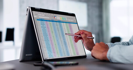 Electronic Spreadsheet Analyst Or Auditor Using Software