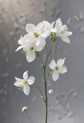 Fototapeta premium Delicate snow-white petals unfolding from a slender stem , nature, petals, solitary