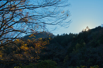 御岳渓谷の紅葉