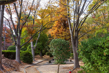 日本の岡山県岡山市のとても美しい秋の紅葉