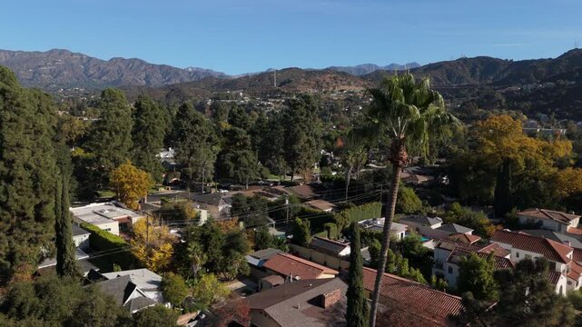 flying past palm tree view of Glendale California