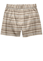 3d illustration plaid twill check short for men with brush finish