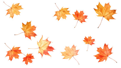 Fototapeta premium Autumn leaves on transparent background on white background.AI GENERATED