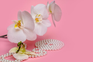 Pearl necklace and white orchid on pink background
