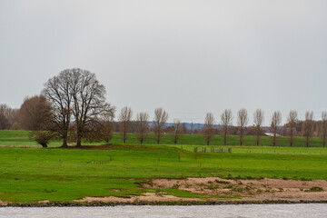 Auf der Waal bei Nijmegen