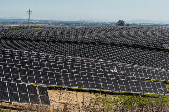 Rows of solar panel maximizing renewable energy output