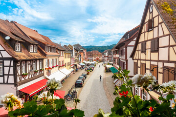 Fototapete bei efototapeten.de bestellen   