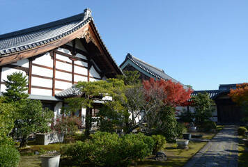 Fototapeta premium 妙心寺 麟祥院の境内 京都市右京区花園