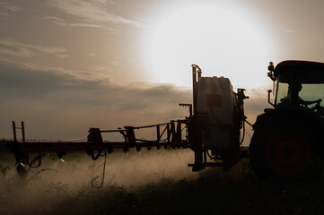 Fototapeta premium Tractor sprays field with pesticides in summer