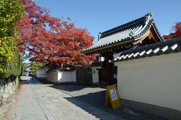 妙心寺　長興院の紅葉と参道　京都市右京区花園