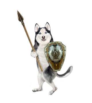 Dog husky armed with spear and shield