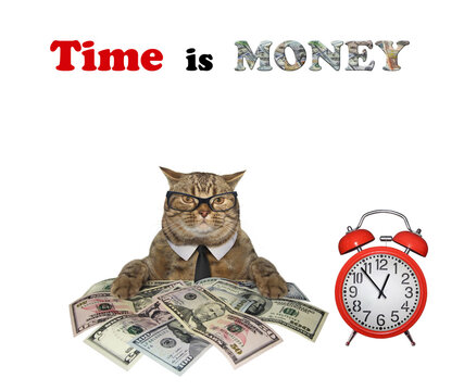 Cat with dollars and alarm clock
