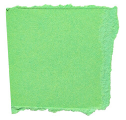 Green cut out torn piece of blank paper note cardboard with texture and copy space for text, transparent png background design element