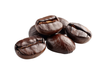 Freshly roasted coffee beans arranged on a neutral background highlighting their rich color and texture