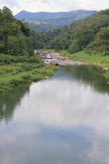 stream in the forest. stream among the rocks in the deep forest. beautiful summer scenery.