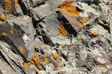 Colorful lichen blankets the rocky surface, showcasing natures artistry beneath a clear blue sky.