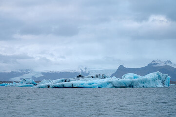 Scenic landscape of Jokulsarlon. Glacial lake in Iceland. Cloudy weather. Icelandic nature. Blue ice...