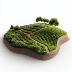 Fototapeta premium Isometric view of high-fidelity cropland with diverse crops and trees on a white background