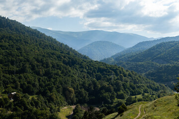 Obraz premium Rolling hills adorned with rich vegetation showcase the breathtaking landscape of Dilijan, Armenia, during daylight.