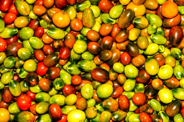 Tomatoes are homemade. Small multicolored tomatoes grown at home. Delicious elongated tomatoes. A backdrop of many juicy, ripe, multicolored tomatoes.