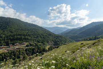 Vibrant hills surrounding Dilijan Armenia reveal wildflowers blooming under a clear blue sky and...