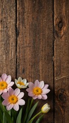 Obraz premium Spring flowers arranged on a wooden background.