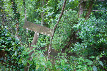Wooden sign pole deep in the forest covered with lichens