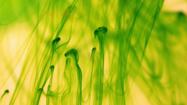 Green ink breaks up in water creating abstract structures, inky background