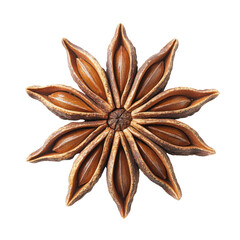 Star Anise Seed Pod Isolated on PNG Transparent Background