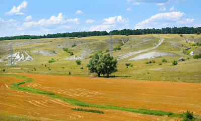 Obraz premium A solitary tree stands in a rural, hilly landscape with fields and winding paths under a bright blue sky with clouds.