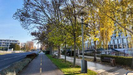Tree-lined urban street with autumn foliage and empty pedestrian pathway, evoking themes of...