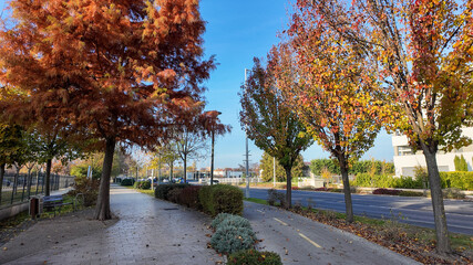 Autumn scene with vibrant foliage along a city sidewalk, capturing the essence of seasonal change and tranquility