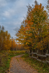 Fototapeta premium A narrow gravel path winds through the scene, bordered by wooden fencing on the right and a mix of grass and sparse vegetation on the left. Autumn landscape at Paljassaare Peninsula, Tallinn, Estonia.
