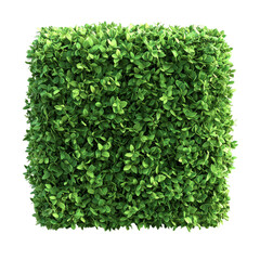 Naklejka premium Lush Green Leafy Wall for Decor and Design Projects Isolated on transparent background