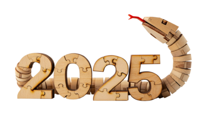 The year 2025 is written in wooden puzzle with a wooden snake 