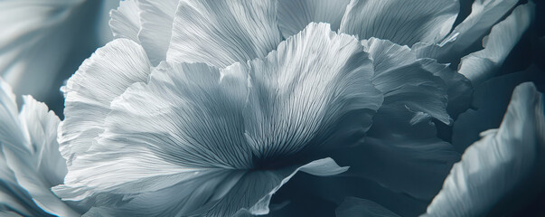 Delicate close up of organic elements showcasing intricate textures and shadows