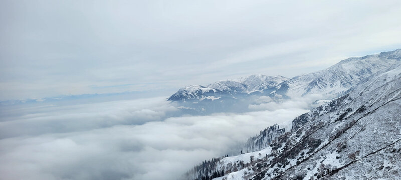 snow covered mountains