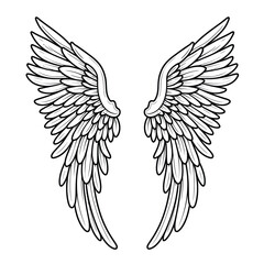 Vector outline wings on white backgrounds