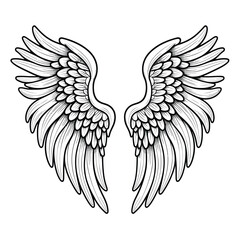 Vector outline wings on white backgrounds