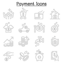 Payment icon set in thin line style